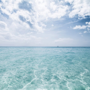 压在墙上酱酱酿酿的叫什么视频
