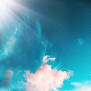 压在墙上酱酱酿酿的叫什么视频
